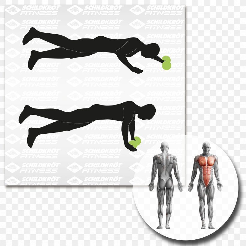 Physical Fitness Abdominal Exercise Fitness Centre Balance Board General Fitness Training, PNG, 2362x2362px, Physical Fitness, Abdominal Exercise, Arm, Balance Board, Dumbbell Download Free