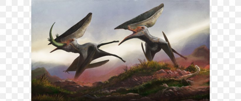 Thalassodromeus Tapejara Banguela Oberlii Lonchodectes Pterodactyls, PNG, 900x381px, Thalassodromeus, Animal, Azhdarchoidea, Beak, Bird Download Free