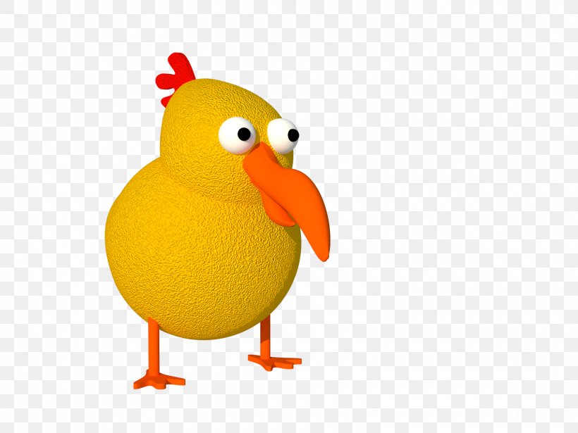 Duck Clip Art Rooster Beak Orange S.A., PNG, 1600x1200px, Duck, Beak, Bird, Chicken, Ducks Geese And Swans Download Free