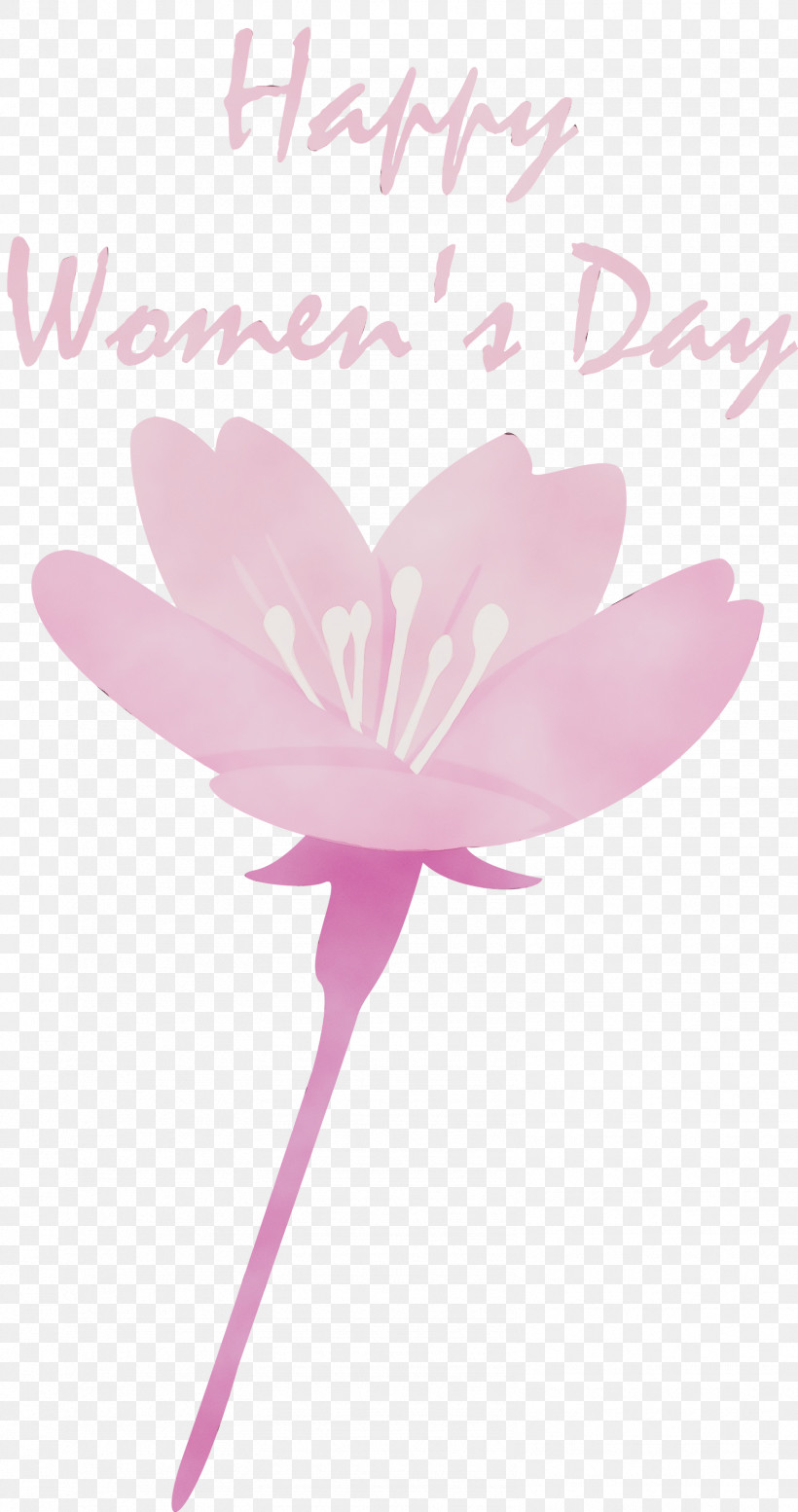 Petal Pink Flower Plant Aquatic Plant, PNG, 1583x3000px,  Download Free