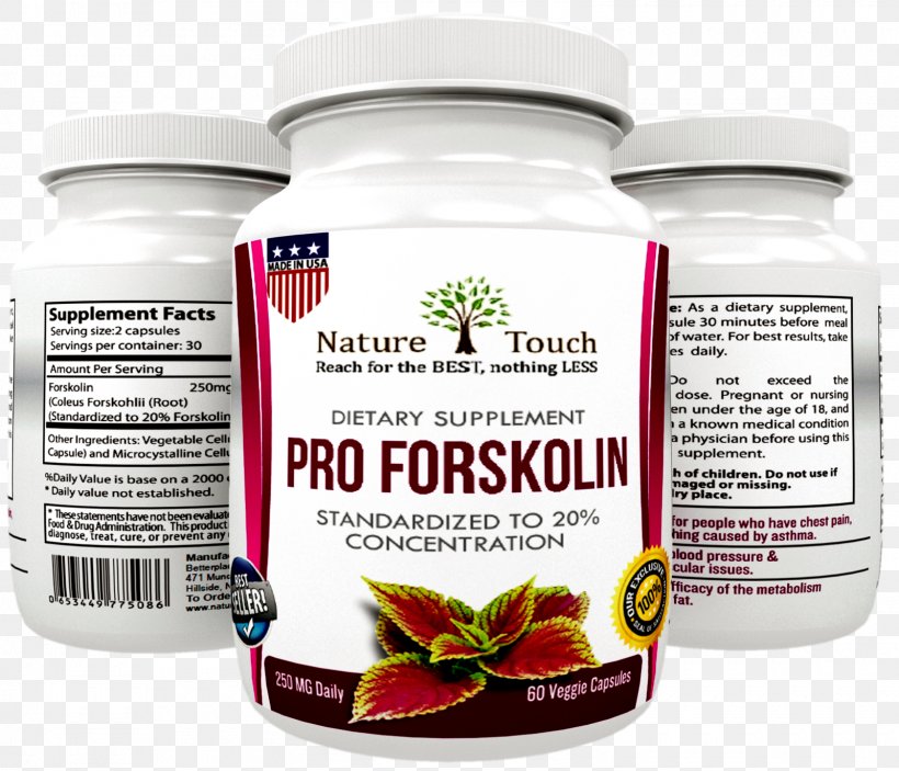 Dietary Supplement Forskolin Weight Loss Fat, PNG, 1600x1373px, Dietary Supplement, Adipose Tissue, Brand, Diet, Fat Download Free