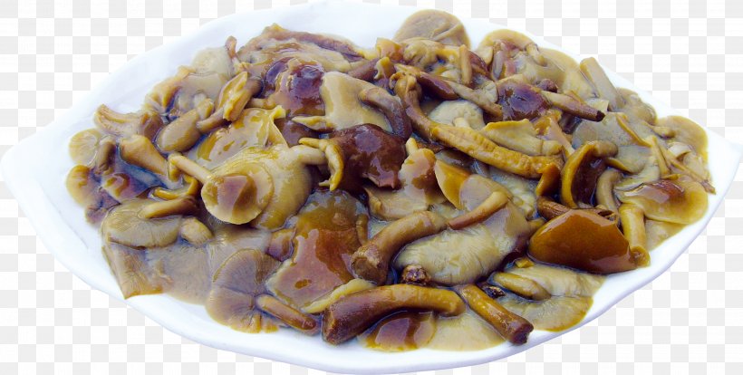 Mushroom Shiitake, PNG, 2940x1486px, Mushroom, Animal Source Foods, Coreldraw, Cuisine, Dish Download Free