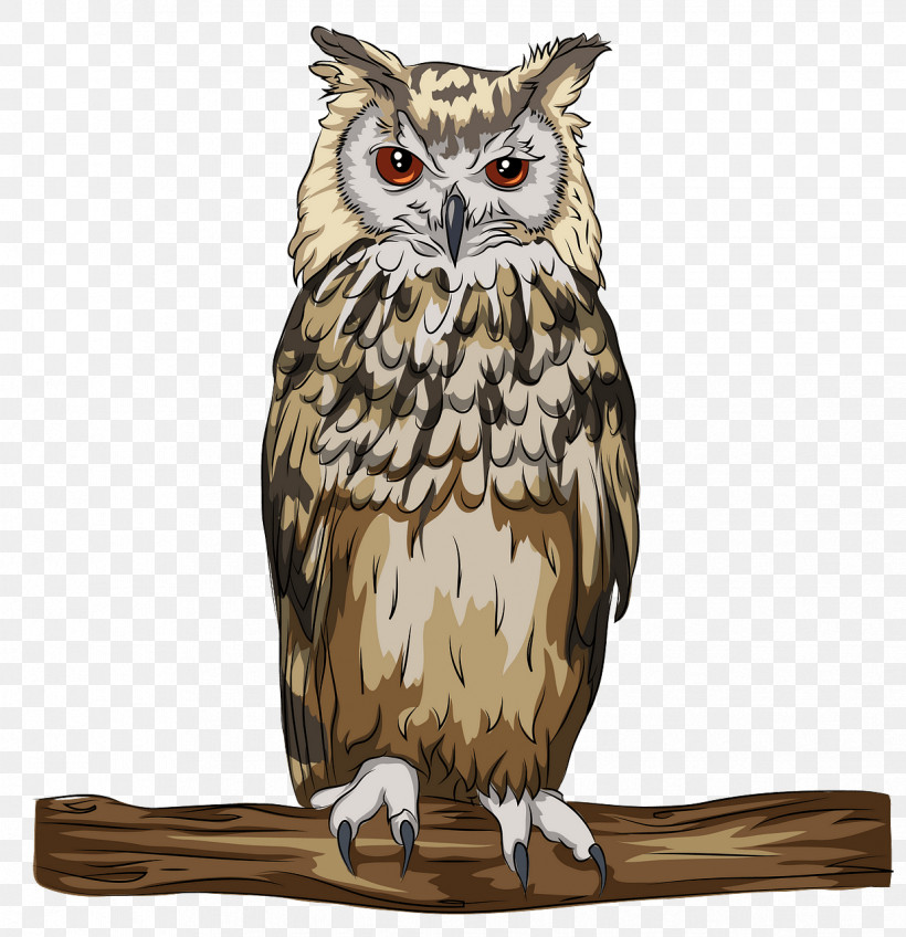 Owl Bird Bird Of Prey Eastern Screech Owl Screech Owl, PNG, 1237x1280px, Owl, Bird, Bird Of Prey, Branch, Eastern Screech Owl Download Free