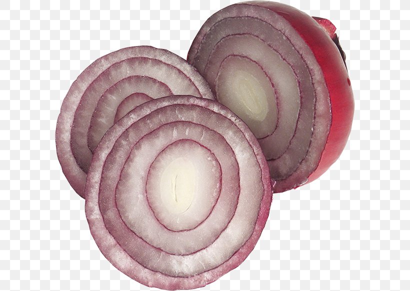 Red Onion Garlic Clip Art, PNG, 600x582px, Red Onion, Apium, Celery, Computer, Dish Download Free