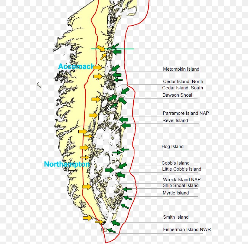 Virginia Barrier Islands Eastern Shore Of Virginia East Coast Of The United States, PNG, 581x808px, Shore, Area, Barrier Island, Beach, Coast Download Free