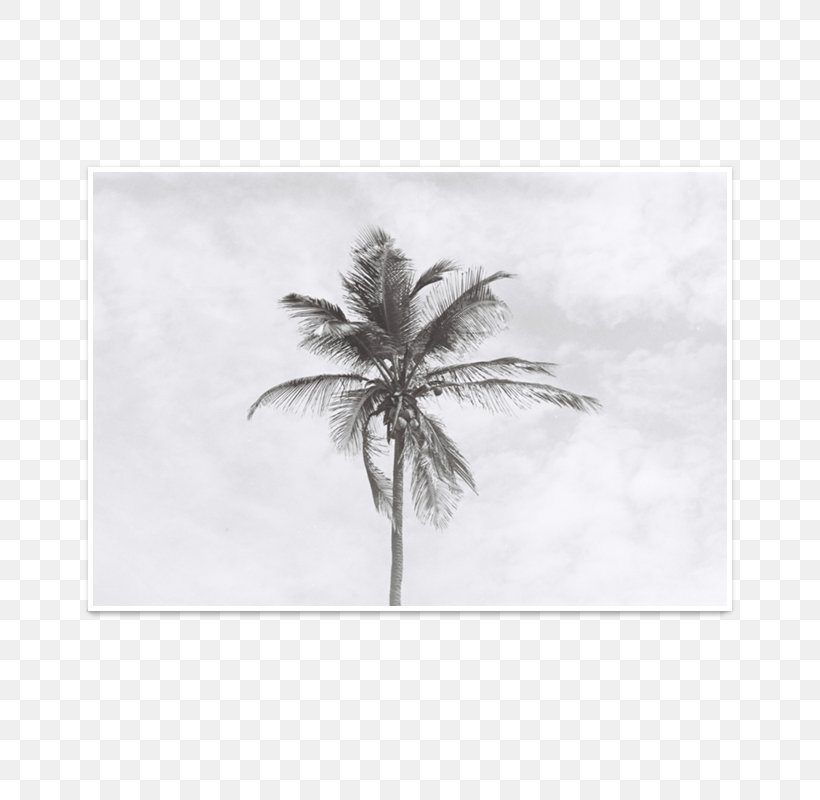 Drawing /m/02csf White, PNG, 800x800px, Drawing, Black And White, Tree, White Download Free