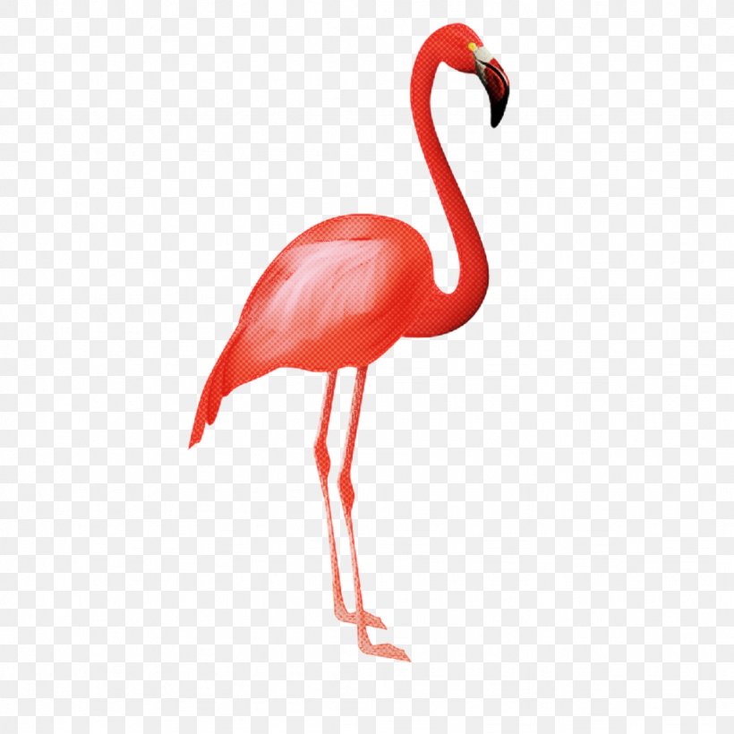 Flamingo Silhouette, PNG, 1024x1024px, Flamenco, Beak, Bird, Dance, Drawing Download Free