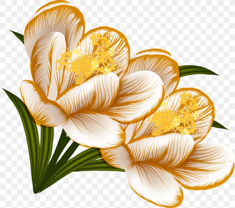 Flower Clip Art, PNG, 1280x1132px, Flower, Crocus, Cut Flowers, Flowering Plant, Petal Download Free