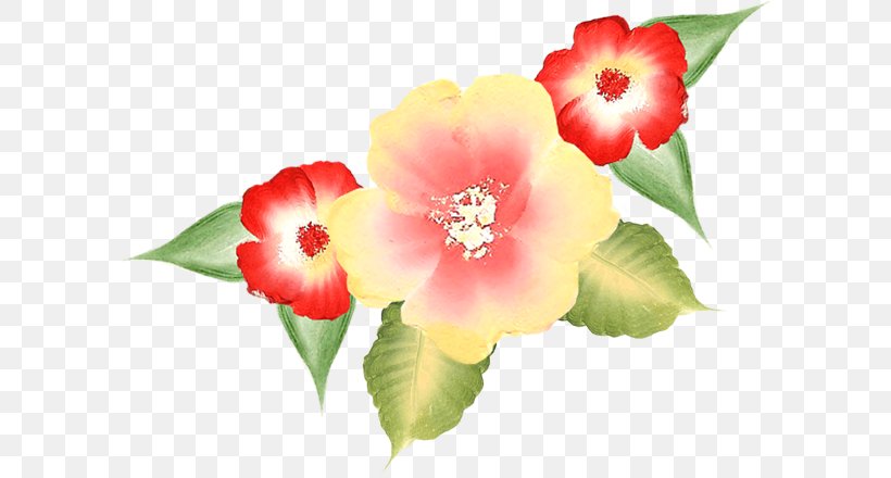 Flower Petal Weapon Clip Art, PNG, 603x440px, Flower, Decimal, Flowering Plant, Herbaceous Plant, Liveinternet Download Free
