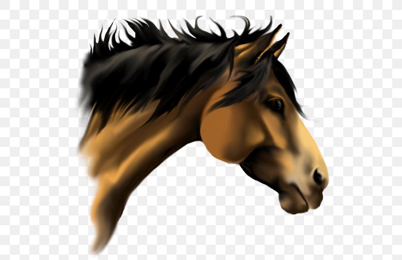 American Paint Horse American Quarter Horse Stallion 3D Horse Racing Mane, PNG, 550x531px, American Paint Horse, American Quarter Horse, Animal, Black, Bridle Download Free