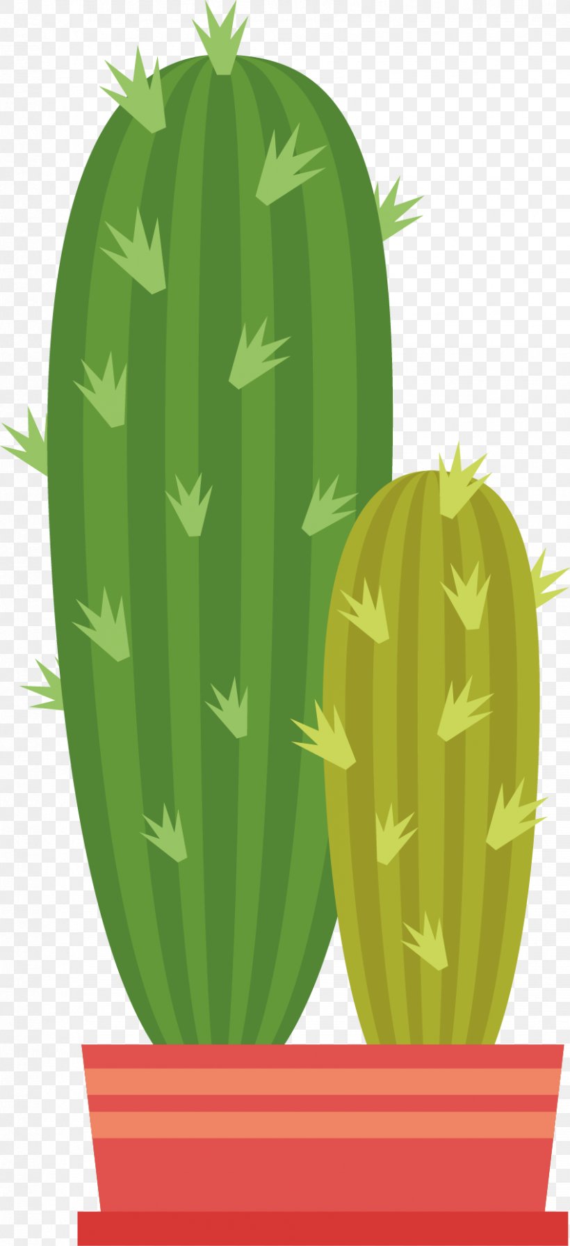 Cactaceae Euclidean Vector Green, PNG, 849x1855px, Cactaceae, Cactus, Citrullus, Cucumber Gourd And Melon Family, Flowering Plant Download Free