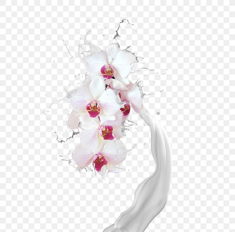 Floral Design Moth Orchids Cut Flowers Flower Bouquet Artificial Flower, PNG, 522x810px, Milk, Artificial Flower, Blossom, Cut Flowers, Floral Design Download Free