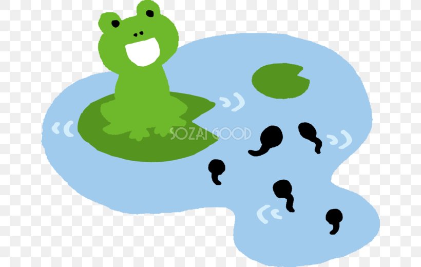 Frog Tadpole Duck Illustration Clip Art, PNG, 660x520px, Frog, Amphibian, Beak, Duck, Ducks Geese And Swans Download Free