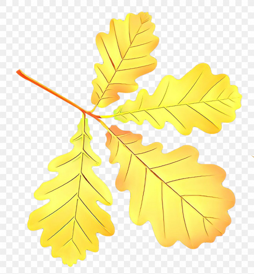 Maple Leaf, PNG, 1200x1291px, Leaf, Black Maple, Branch, Flower, Maple Leaf Download Free
