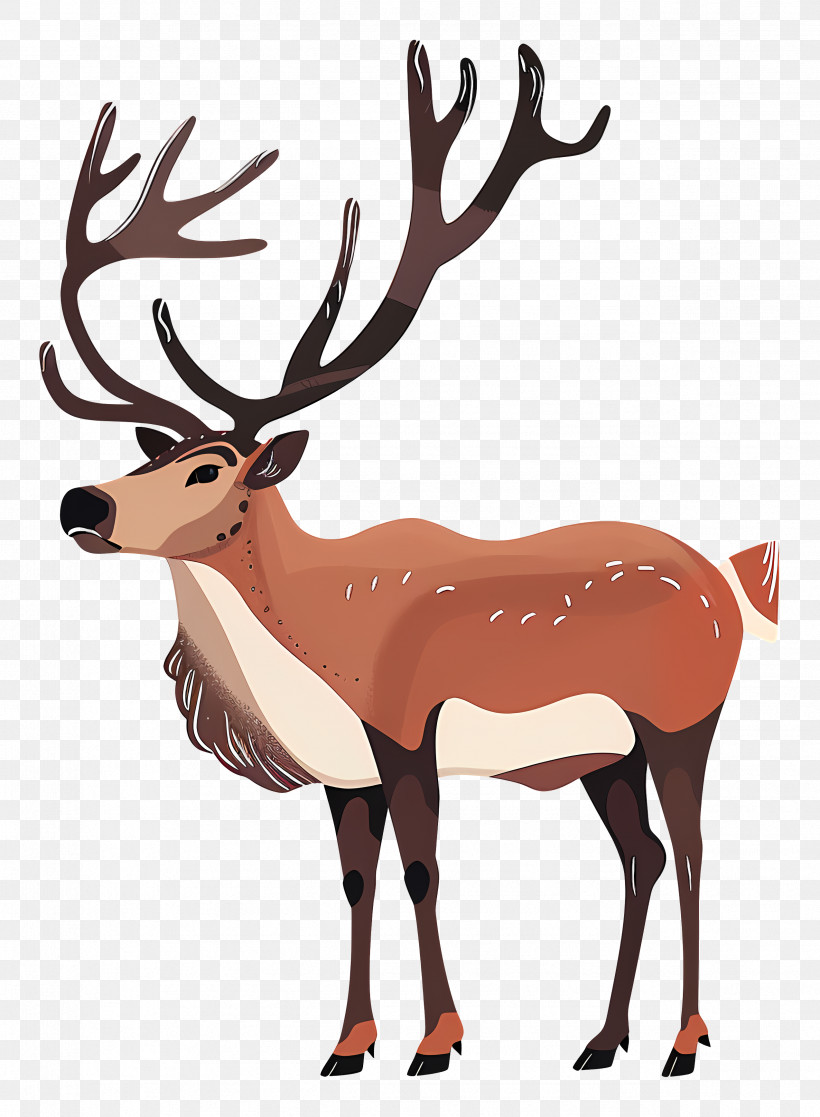 Reindeer - Caribou With Majestic Large Antlers PNG