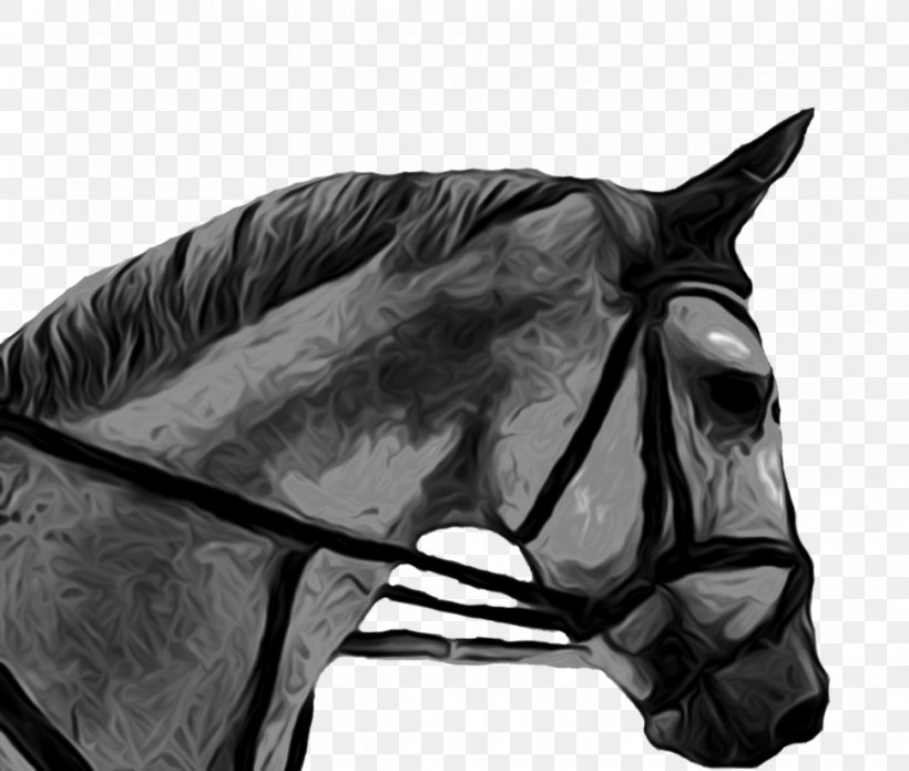 Rein Mustang Stallion Halter Bridle, PNG, 971x823px, Rein, Bit, Black, Black And White, Black M Download Free