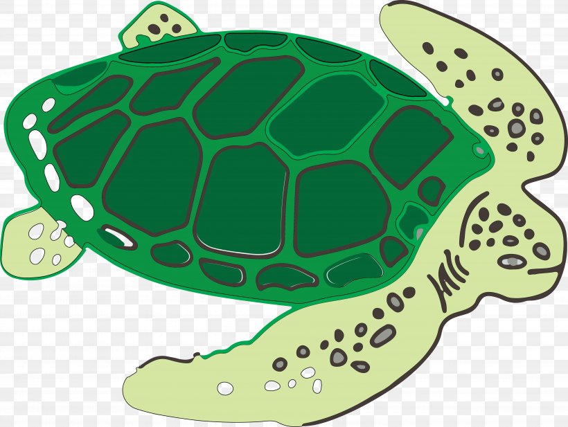 Sea Turtle Tortoise, PNG, 4969x3743px, Turtle, Fauna, Green, Organism, Reptile Download Free