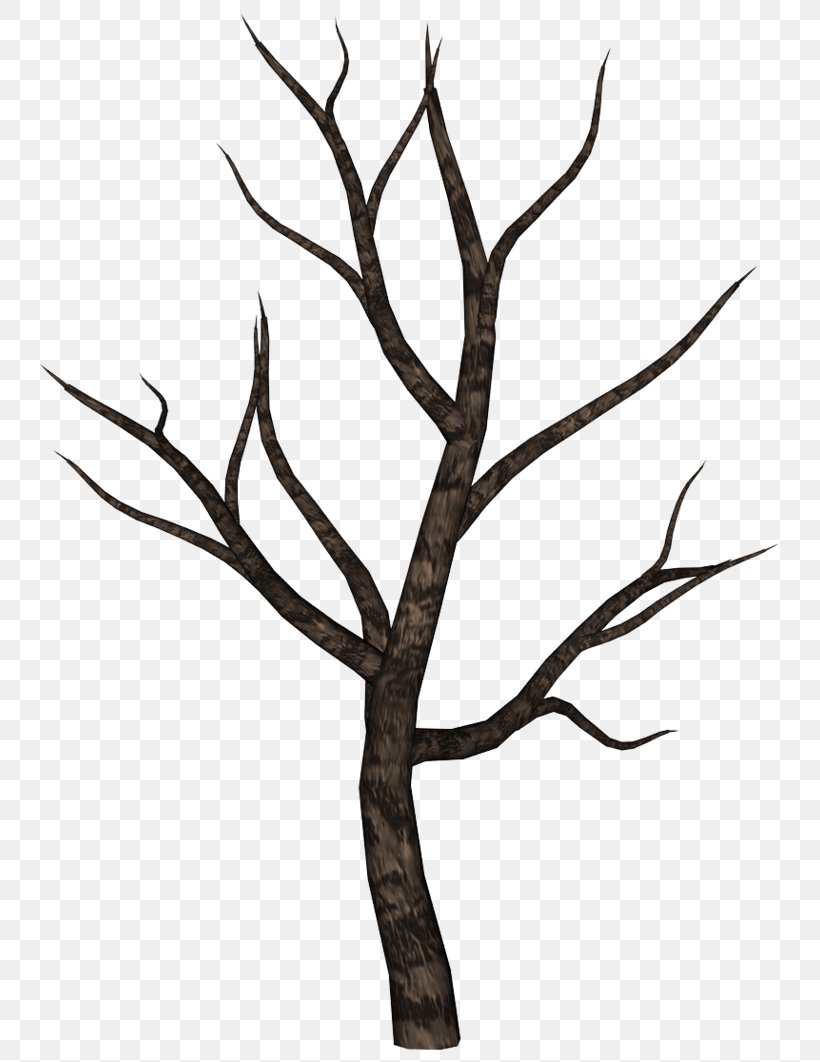 Tree Oak Clip Art, PNG, 753x1062px, Tree, Black And White, Branch