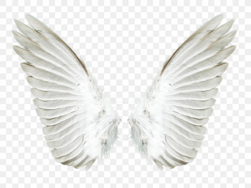 Aile Angel, PNG, 1600x1200px, Aile, Angel, Autocad Dxf, Feather, Photography Download Free