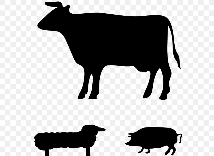 Angus Cattle Jersey Cattle Welsh Black Cattle Guernsey Cattle Holstein Friesian Cattle, PNG, 576x596px, Angus Cattle, Artwork, Beef Cattle, Black, Black And White Download Free