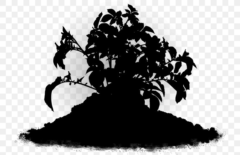 Black & White, PNG, 722x530px, Black White M, Blackandwhite, Botany, Flower, Leaf Download Free
