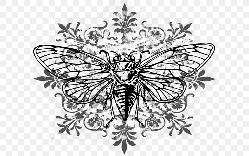 Brush-footed Butterflies Line Art Visual Arts Drawing Blue Microphones SNOWFLAKE USB Condenser Microphone, PNG, 606x516px, Brushfooted Butterflies, Art, Arthropod, Arts, Artwork Download Free