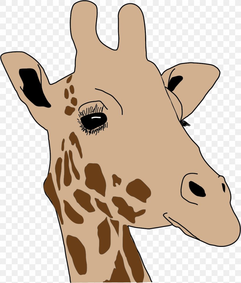Giraffe Neck Snout Wildlife Clip Art, PNG, 1026x1207px, Giraffe, Animal, Fauna, Giraffidae, Head Download Free