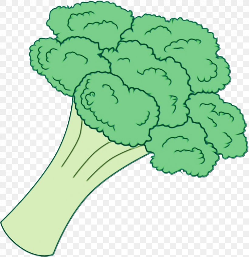 Green Leaf Cruciferous Vegetables Broccoli Plant, PNG, 834x862px, Watercolor, Broccoli, Cruciferous Vegetables, Green, Leaf Download Free