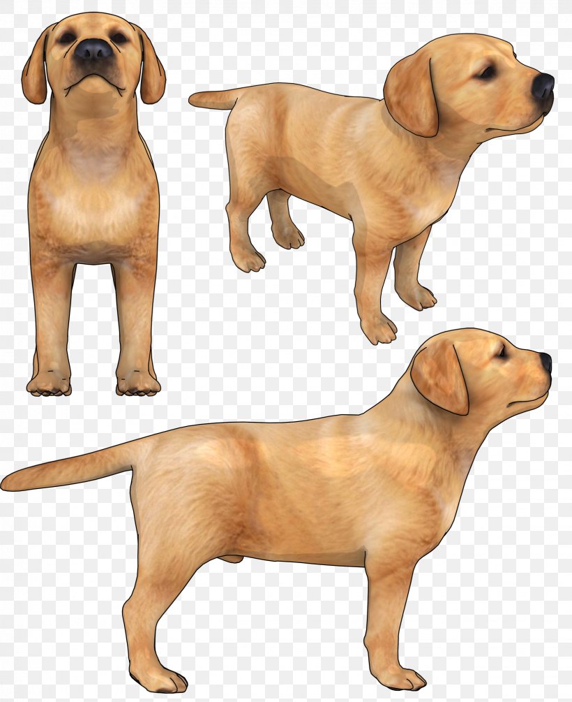 Labrador Retriever Clip Art Puppy Broholmer, PNG, 1631x2000px, Labrador Retriever, Ancient Dog Breeds, Animal Figure, Broholmer, Canidae Download Free