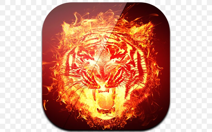 Tiger Flame Computer Keyboard Fire Amazon.com, PNG, 512x512px, Tiger, Amazoncom, Android, App Store, Computer Download Free