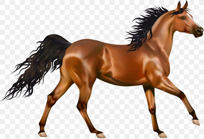 Arabian Horse Pony Equestrianism Clip Art, PNG, 4700x3210px, Arabian Horse, American Paint Horse, Bit, Bridle, Canter And Gallop Download Free