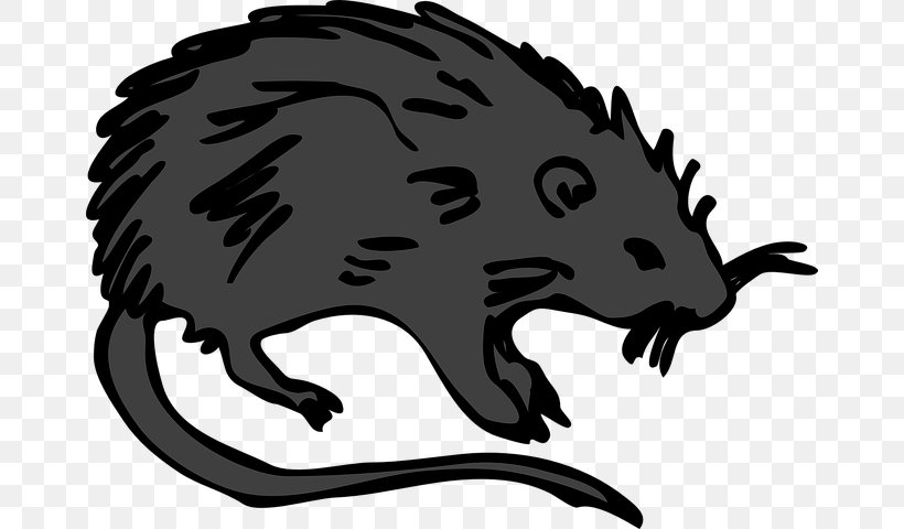 Brown Rat Clip Art Mouse Rodent Laboratory Rat, PNG, 664x480px, Brown Rat, Artwork, Beaver, Black And White, Black Rat Download Free