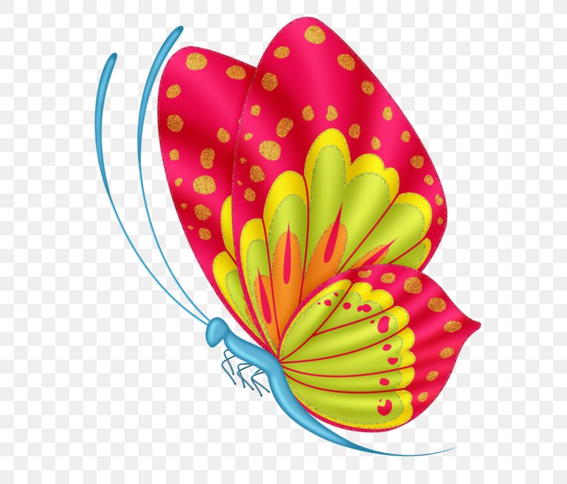 Butterfly Clip Art Vector Graphics Desktop Wallpaper, PNG, 635x700px, Butterfly, Anthurium, Art, Drawing, Flower Download Free