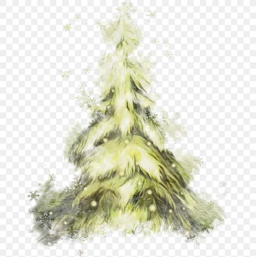 Christmas Tree, PNG, 650x824px, Watercolor, Christmas Tree, Colorado Spruce, Conifer, Fir Download Free