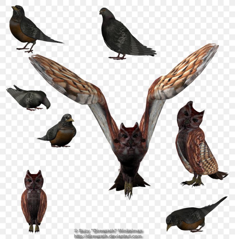 Buzzard Hawk Bird Eagle, PNG, 1024x1045px, Buzzard, Animal, Art, Beak, Bird Download Free