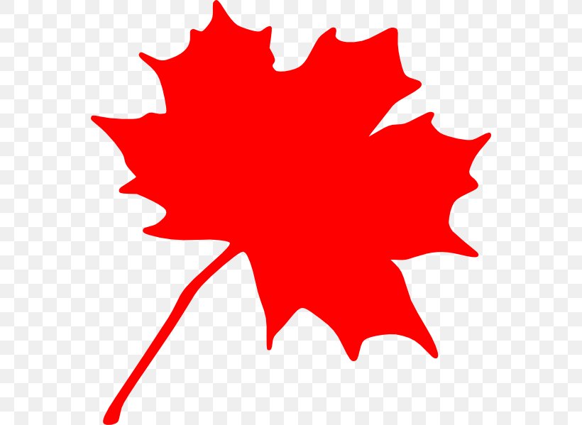 Canada Red Maple Maple Leaf Clip Art, PNG, 564x599px, Canada, Area, Autumn Leaf Color, Drawing, Flag Of Canada Download Free