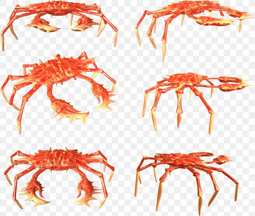 Crab Crayfish Clip Art, PNG, 4527x3830px, Crab, Animal Source Foods, Crayfish, Decapoda, Invertebrate Download Free