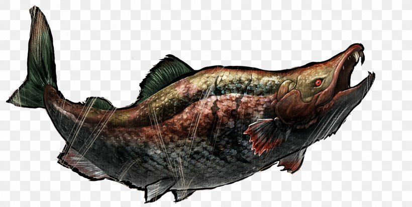 Fish ARK: Survival Evolved Oncorhynchus Rastrosus Chinook Salmon Pliocene, PNG, 1555x782px, Fish, Animal Source Foods, Ark Survival Evolved, Chinook Salmon, Dinosaur Download Free