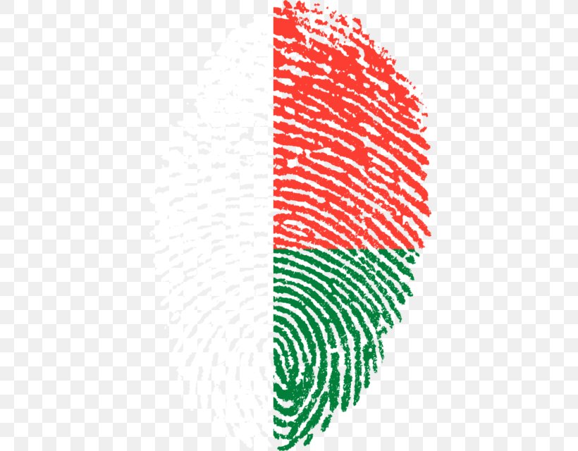 Flag Cartoon, PNG, 405x640px, Fingerprint, Biometrics, Finger, Fingerprint Scanner, Flag Download Free