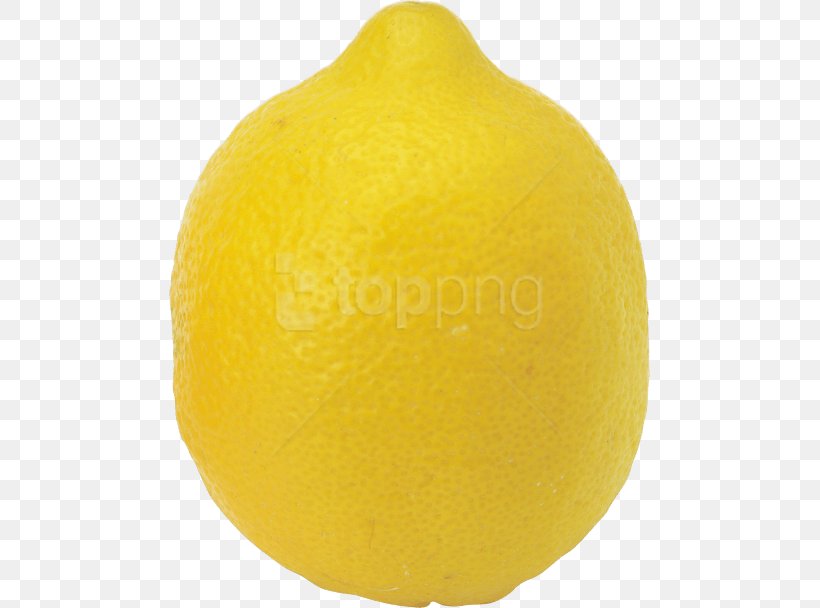 Lemon-lime Drink Rangpur, PNG, 481x608px, Lemon, Ball, Citric Acid, Citron, Citrus Download Free