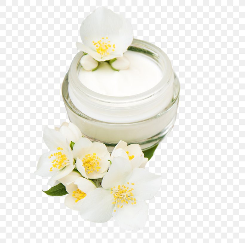 Cream, PNG, 594x815px, Cream, Flower, Jasmine, Petal, White Download Free