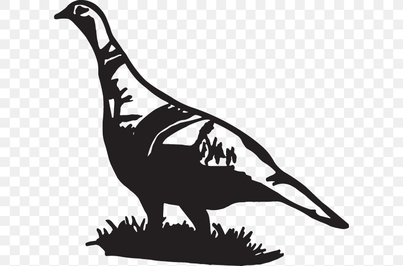 Decal Turkey Hunting Sticker Clip Art, PNG, 600x542px, Decal, Beak, Bird, Black And White, Deer Download Free