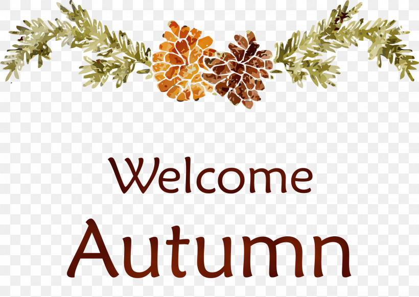 Film Frame, PNG, 3000x2130px, Welcome Autumn, Film Frame, Frame, Paint, Picture Frame Download Free