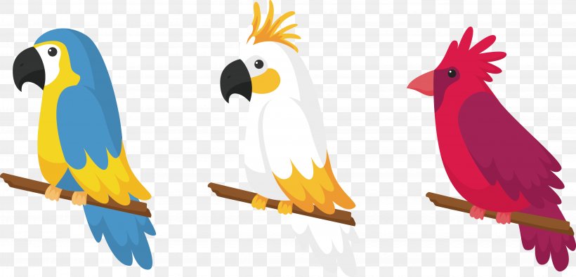 Parrot Bird Drawing, PNG, 4068x1964px, Parrot, Art, Beak, Bird, Color Download Free