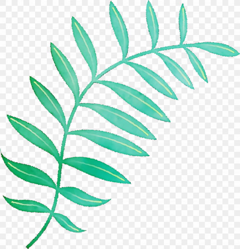 Plant Stem Branch Leaf Line Plants, PNG, 1538x1600px, Watercolor, Biology, Branch, Leaf, Line Download Free