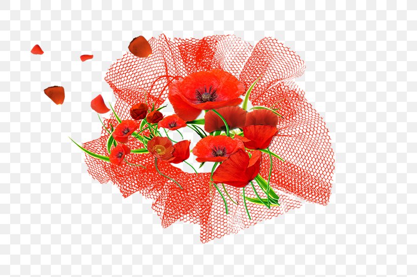Poppy Floral Design Mat Cut Flowers Coir, PNG, 700x544px, Poppy, Chef, Coir, Coquelicot, Cut Flowers Download Free