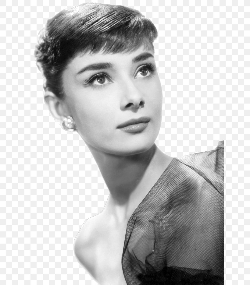 Audrey Hepburn Funny Face Ondine Photography, PNG, 650x936px, Watercolor, Cartoon, Flower, Frame, Heart Download Free