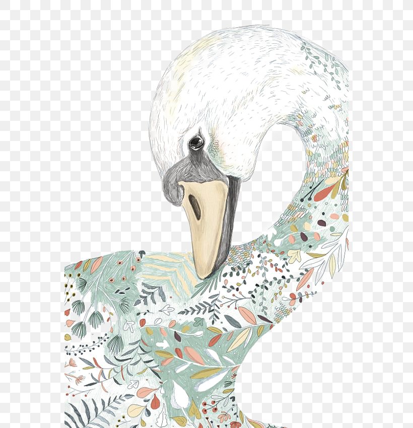 Black Swan Cartoon Illustration, PNG, 564x850px, Black Swan, Anatidae, Beak, Bird, Cartoon Download Free