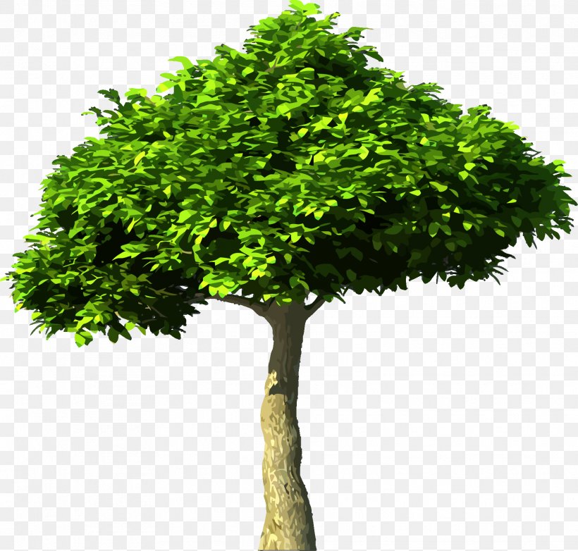 Carbon Dioxide Tree Global Warming Atmosphere Of Earth, PNG, 1868x1783px, Carbon Dioxide, Atmosphere Of Earth, Branch, Carbon Cycle, Carbon Footprint Download Free