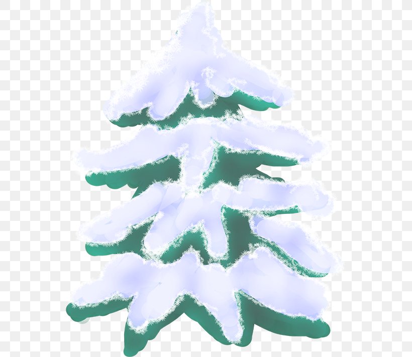 Fir Christmas Ornament Spruce Christmas Tree, PNG, 558x711px, Fir, Aqua, Christmas, Christmas Decoration, Christmas Ornament Download Free